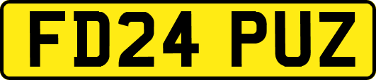 FD24PUZ
