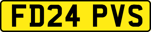 FD24PVS