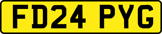 FD24PYG
