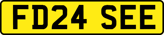 FD24SEE