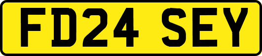 FD24SEY