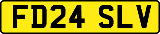FD24SLV