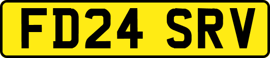FD24SRV