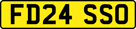 FD24SSO