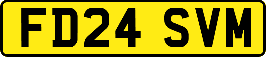 FD24SVM