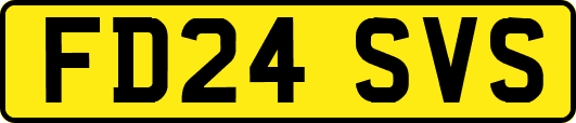 FD24SVS