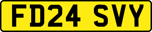 FD24SVY