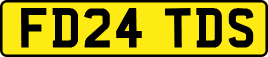 FD24TDS