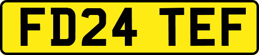 FD24TEF