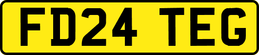 FD24TEG