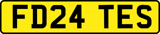FD24TES