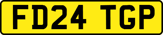 FD24TGP