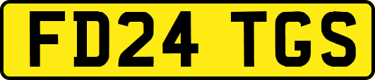 FD24TGS