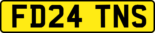 FD24TNS