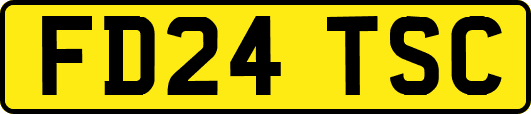 FD24TSC