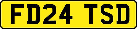 FD24TSD