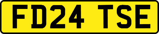 FD24TSE