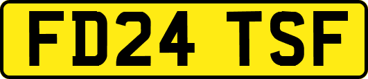 FD24TSF
