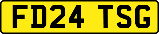 FD24TSG