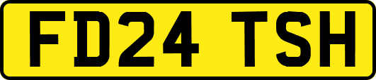 FD24TSH