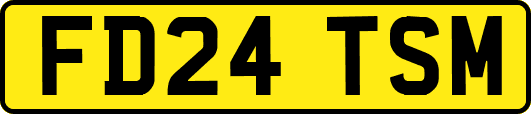 FD24TSM