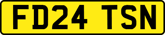 FD24TSN