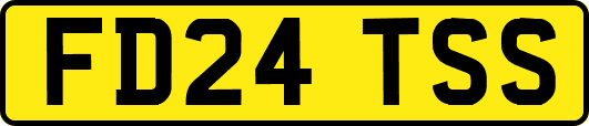 FD24TSS