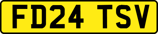 FD24TSV