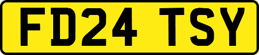 FD24TSY