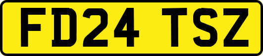 FD24TSZ