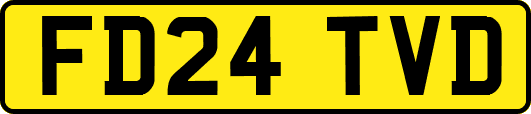 FD24TVD