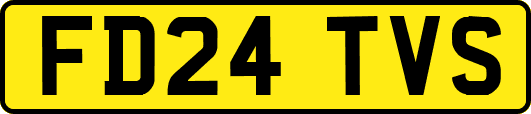 FD24TVS