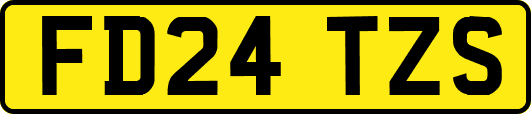 FD24TZS