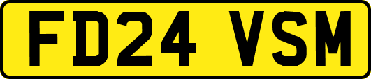 FD24VSM