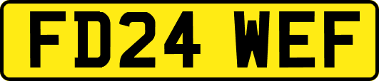 FD24WEF