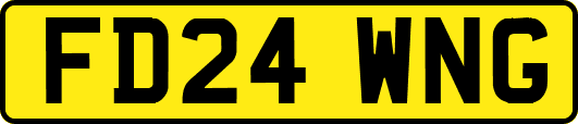 FD24WNG