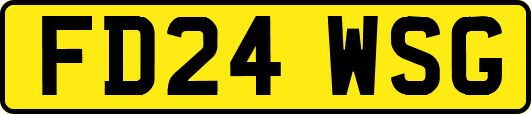 FD24WSG