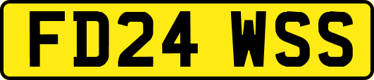 FD24WSS