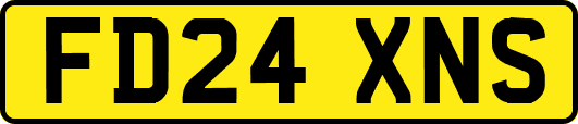 FD24XNS