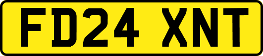 FD24XNT
