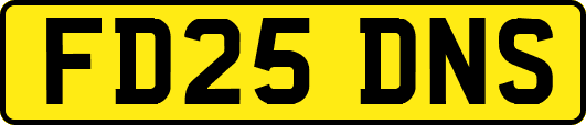 FD25DNS