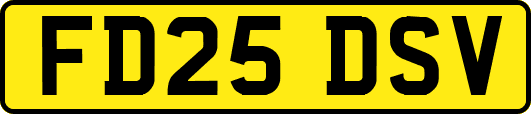 FD25DSV