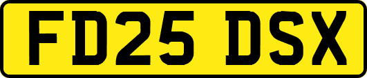 FD25DSX