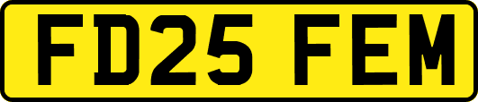 FD25FEM