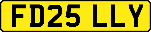 FD25LLY