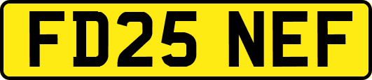 FD25NEF