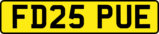 FD25PUE