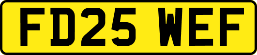 FD25WEF