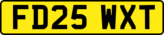 FD25WXT