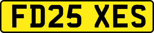 FD25XES
